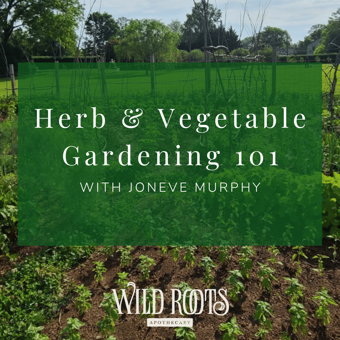 Vegetable &amp; Herb Gardening 101 with Joneve Murphy