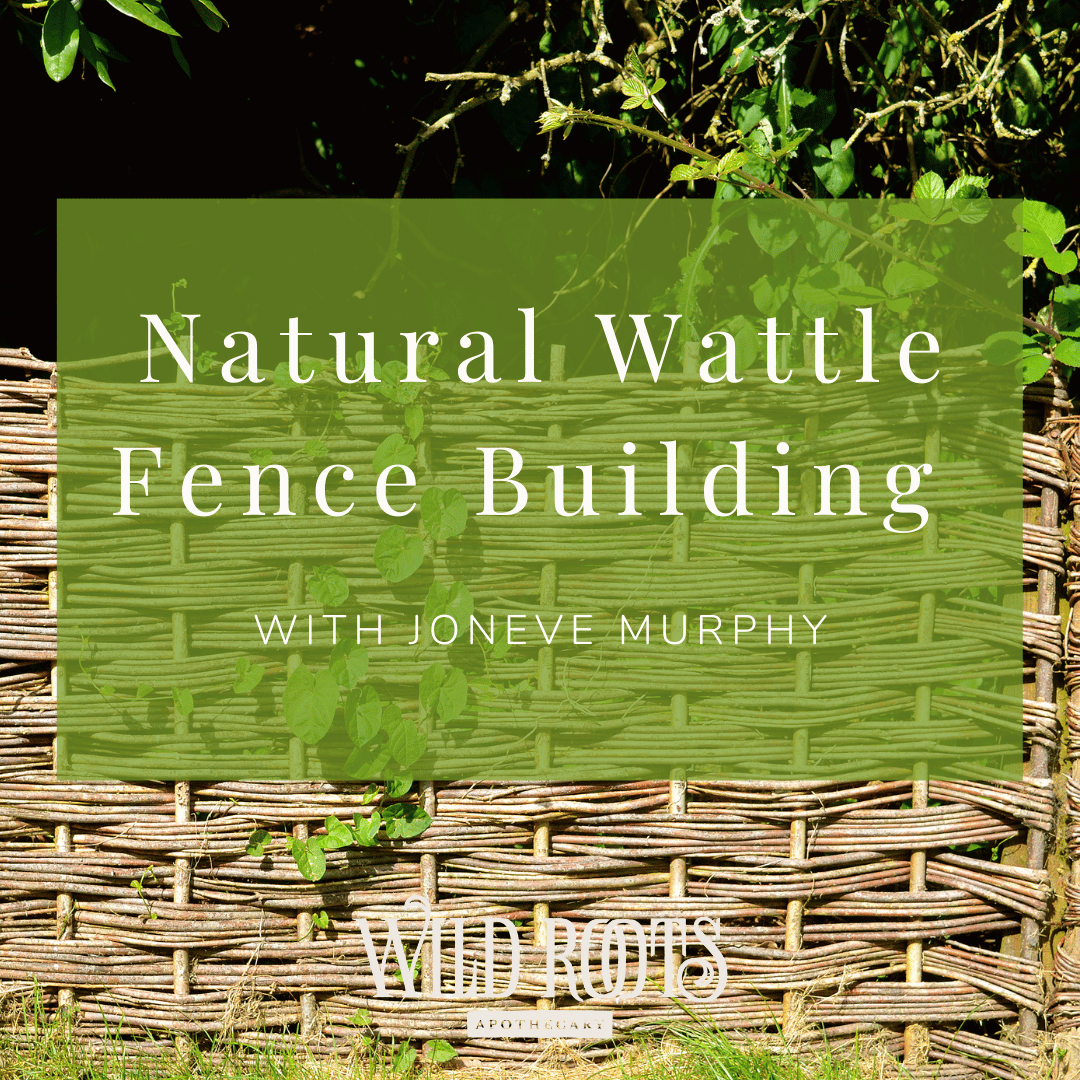 Natural Wattle Fence Building with Joneve Murphy