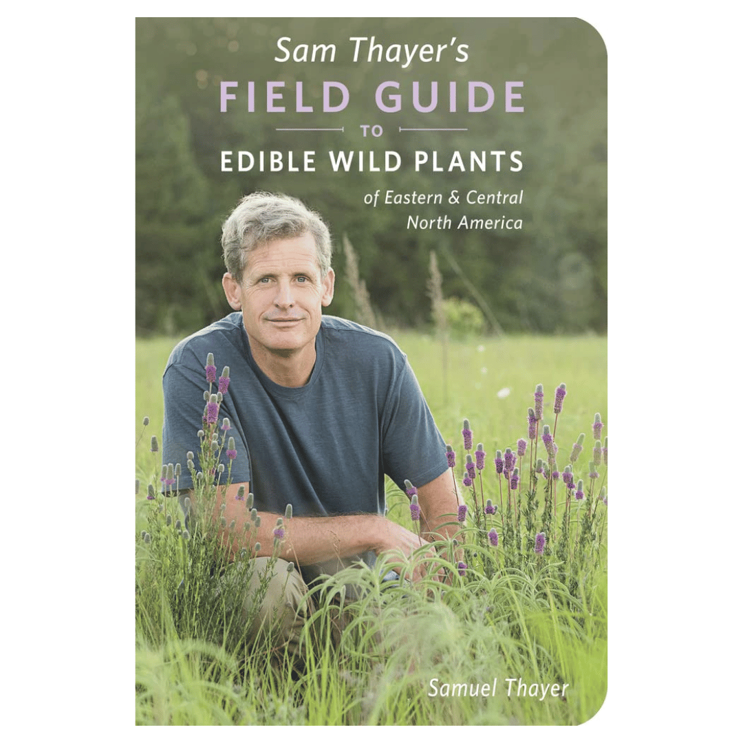 Sam Thayer's Field Guide to Edible Wild Plants – Wild Roots Apothecary