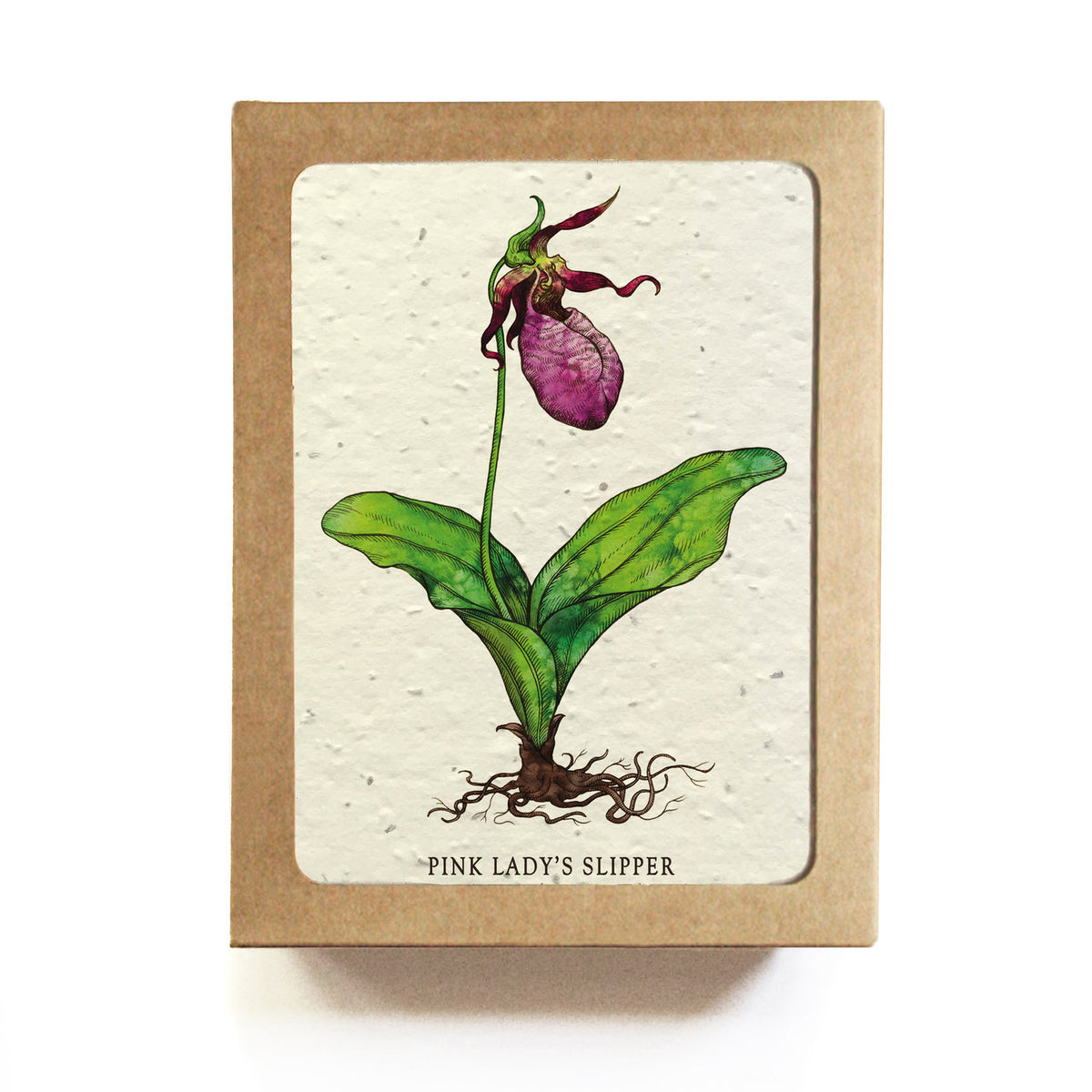 Lady Slipper Plantable Herb Seed Card