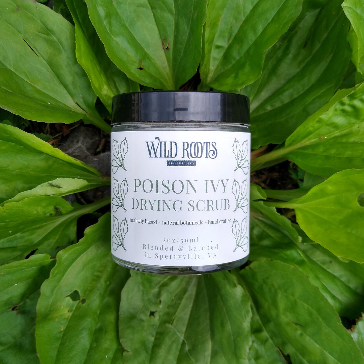 Poison Ivy and Oak Scrub + Drying Powder—Wild Roots Apothecary