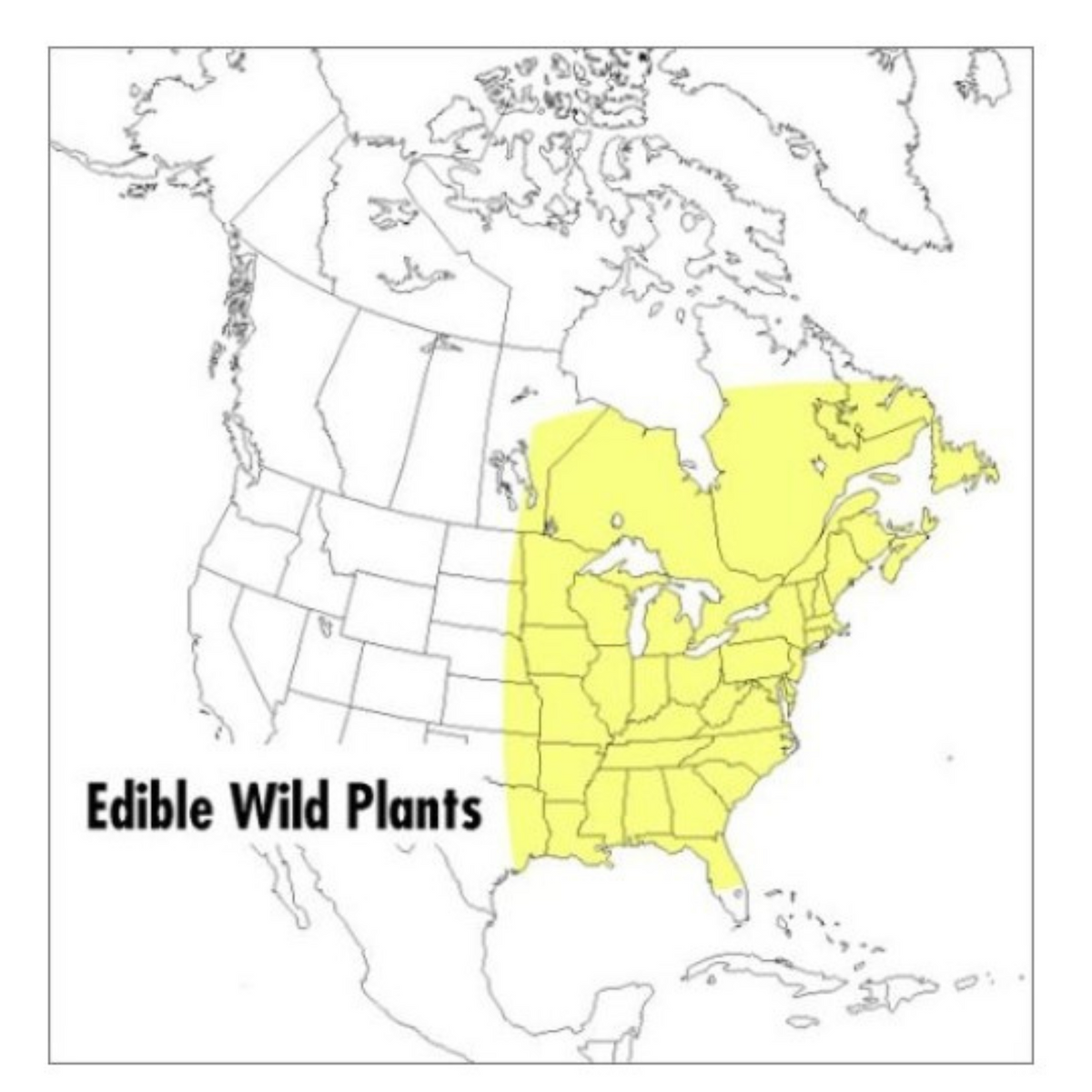 Edible Wild Plants: Eastern/Central North America (Peterson Field Guides)