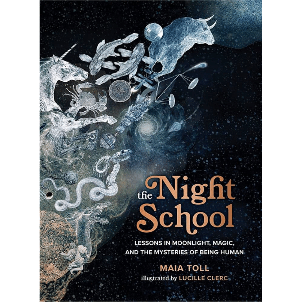 The Night School by Maia Toll