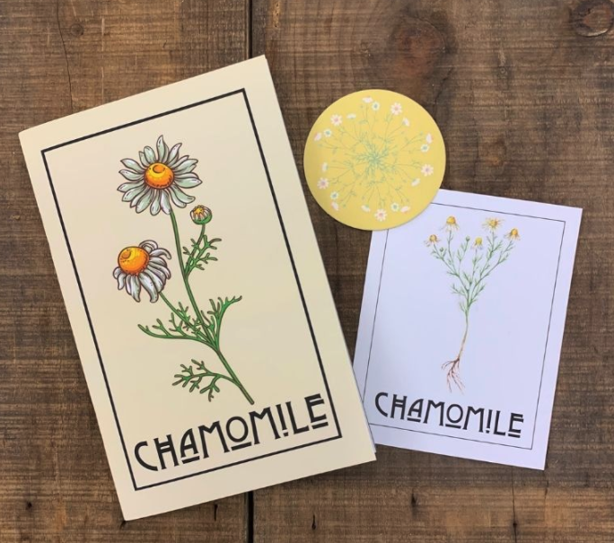 Chamomile Zine by Kathi Langelier