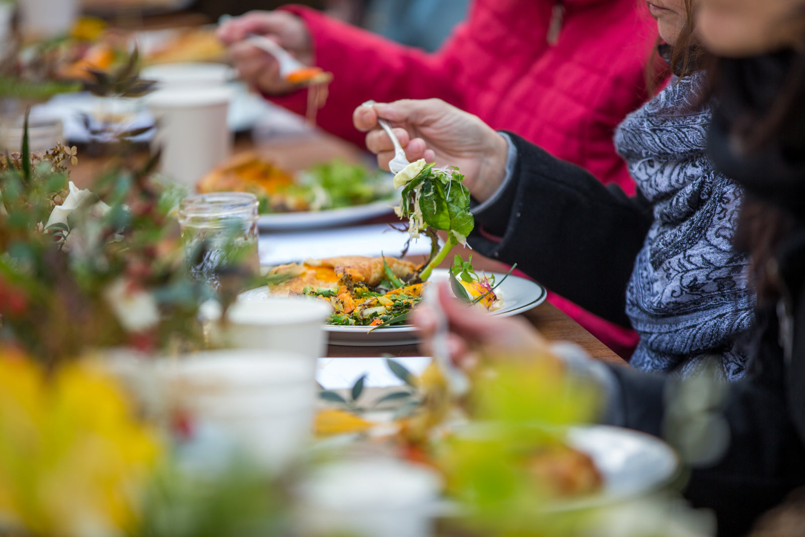 Wild Roots Apothecary’s Spicy Nicey Thanksgiving Guide