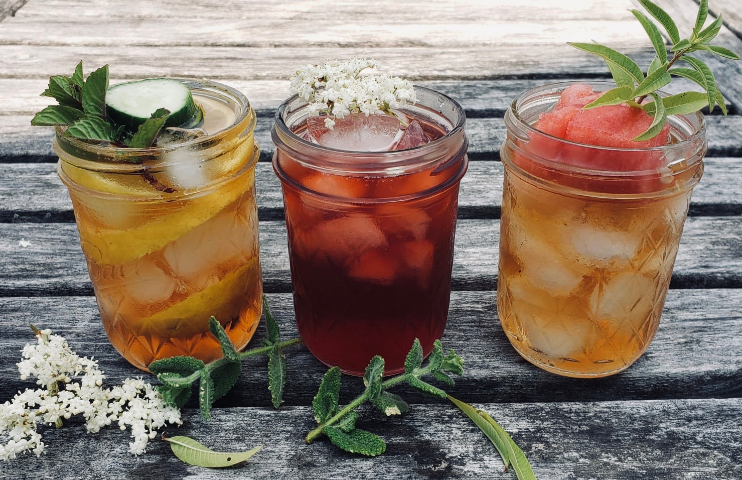 Wild-Roots-Apothecary-Iced-Wellness-Teas