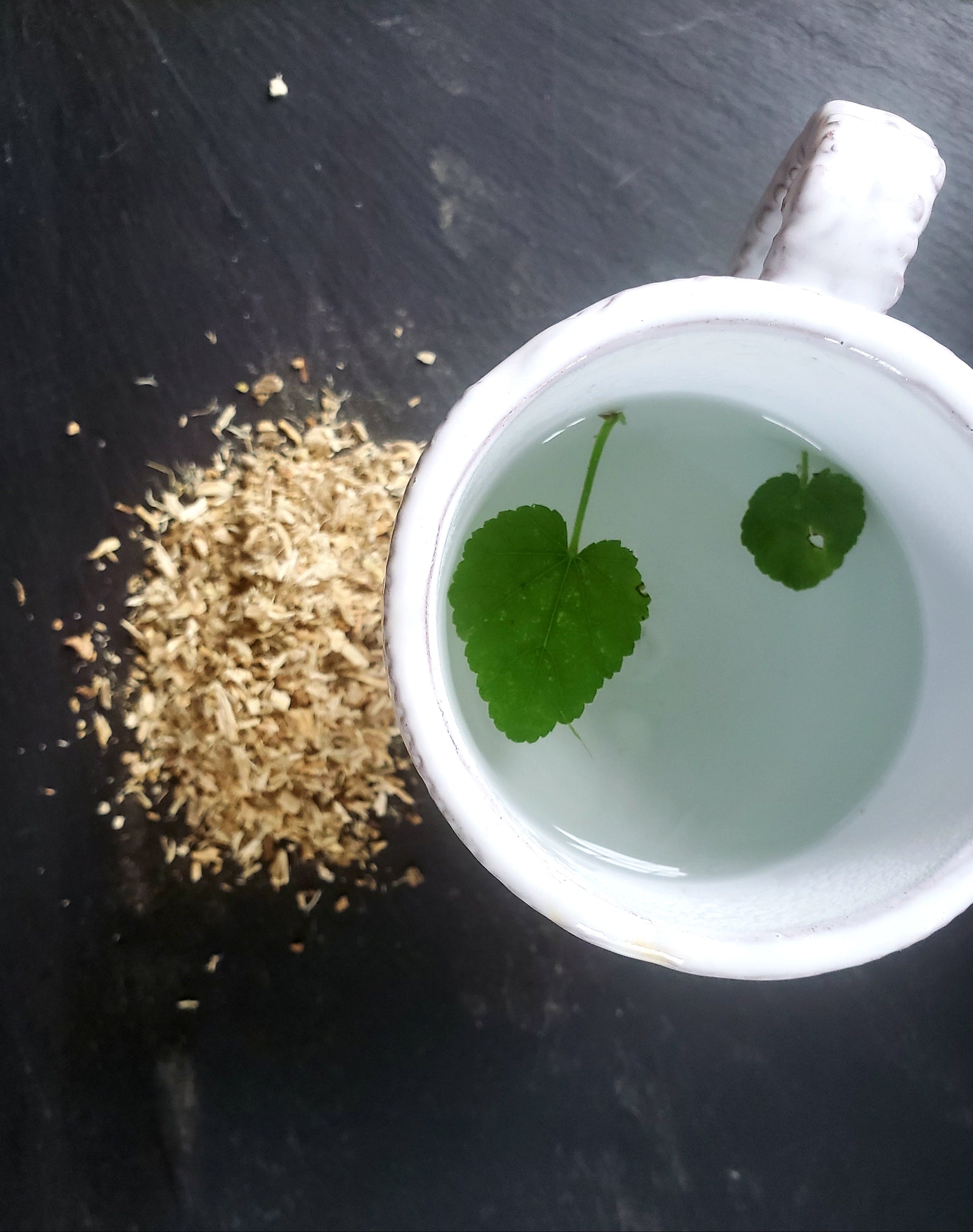 The "Soothe Me" Magic of Marshmallow (Root, Leaf and Flower)