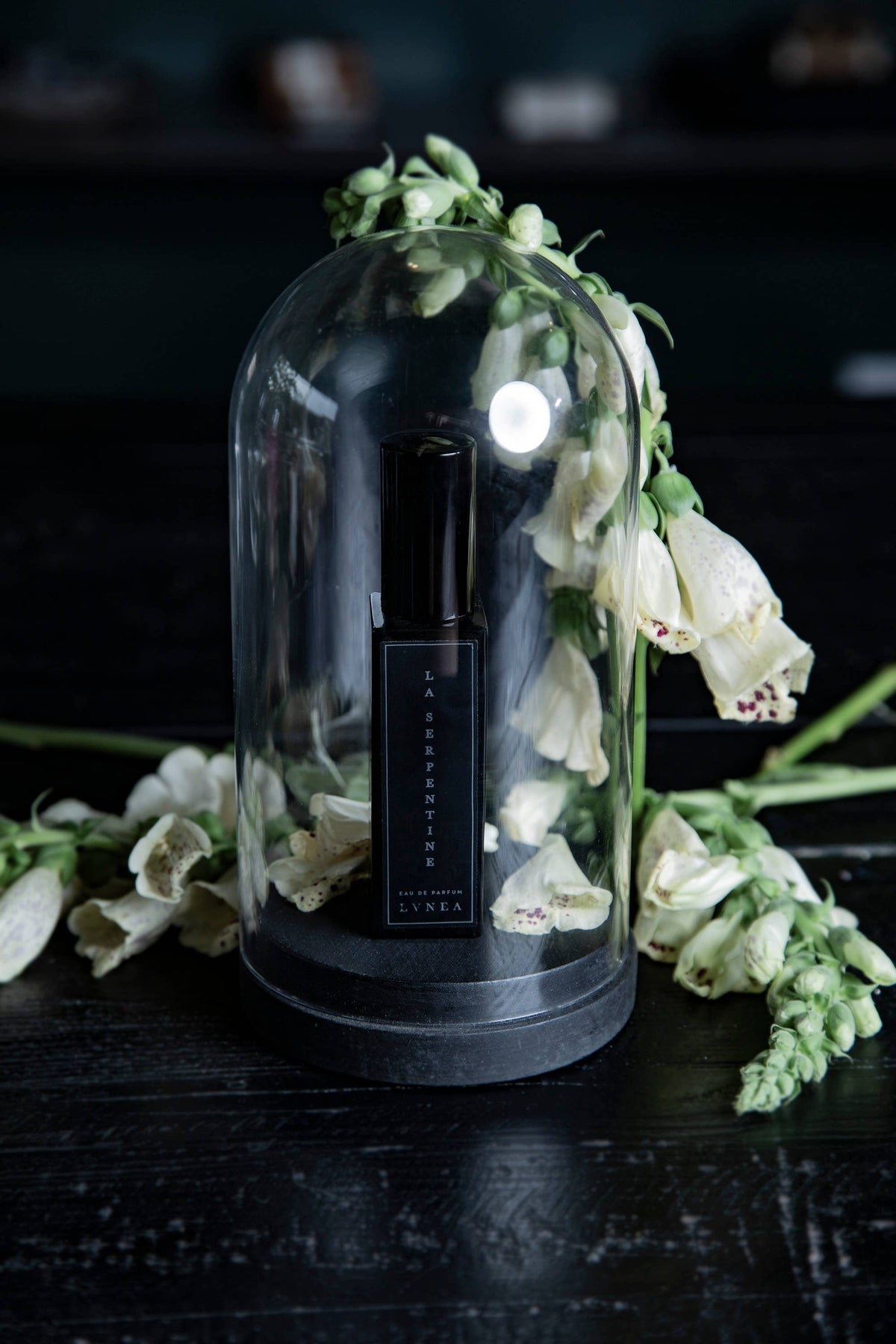 LA SERPENTINE 8ml Eau de Parfum | Peach, patchouli, oakmoss