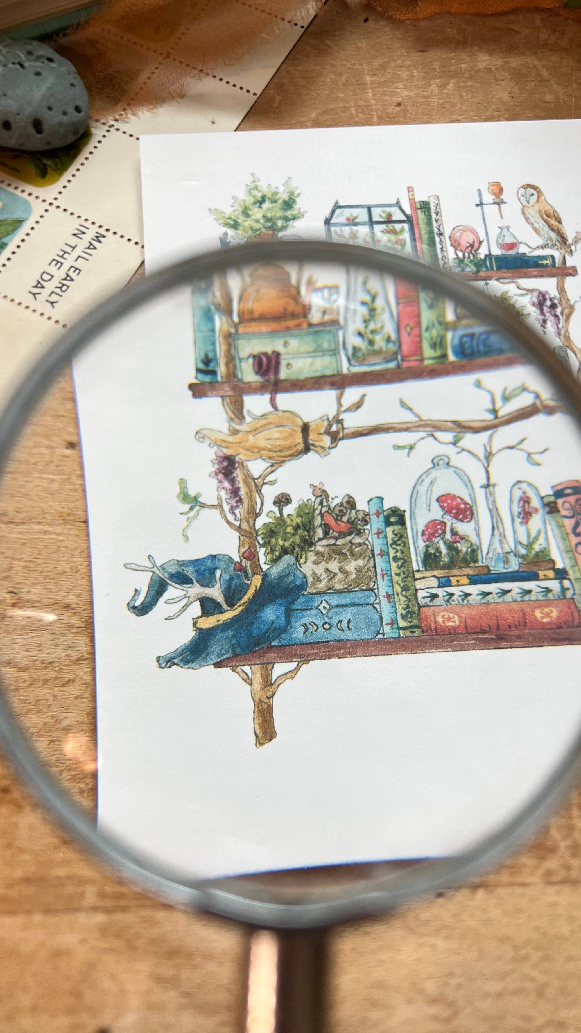 The Forest Witch's Shelves Postcard