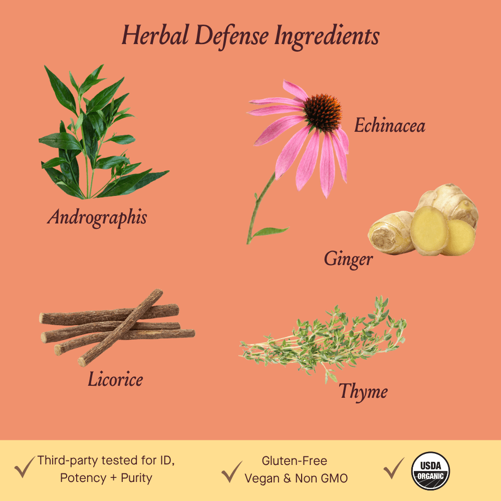 Herbal Defense Capsule 48 ct