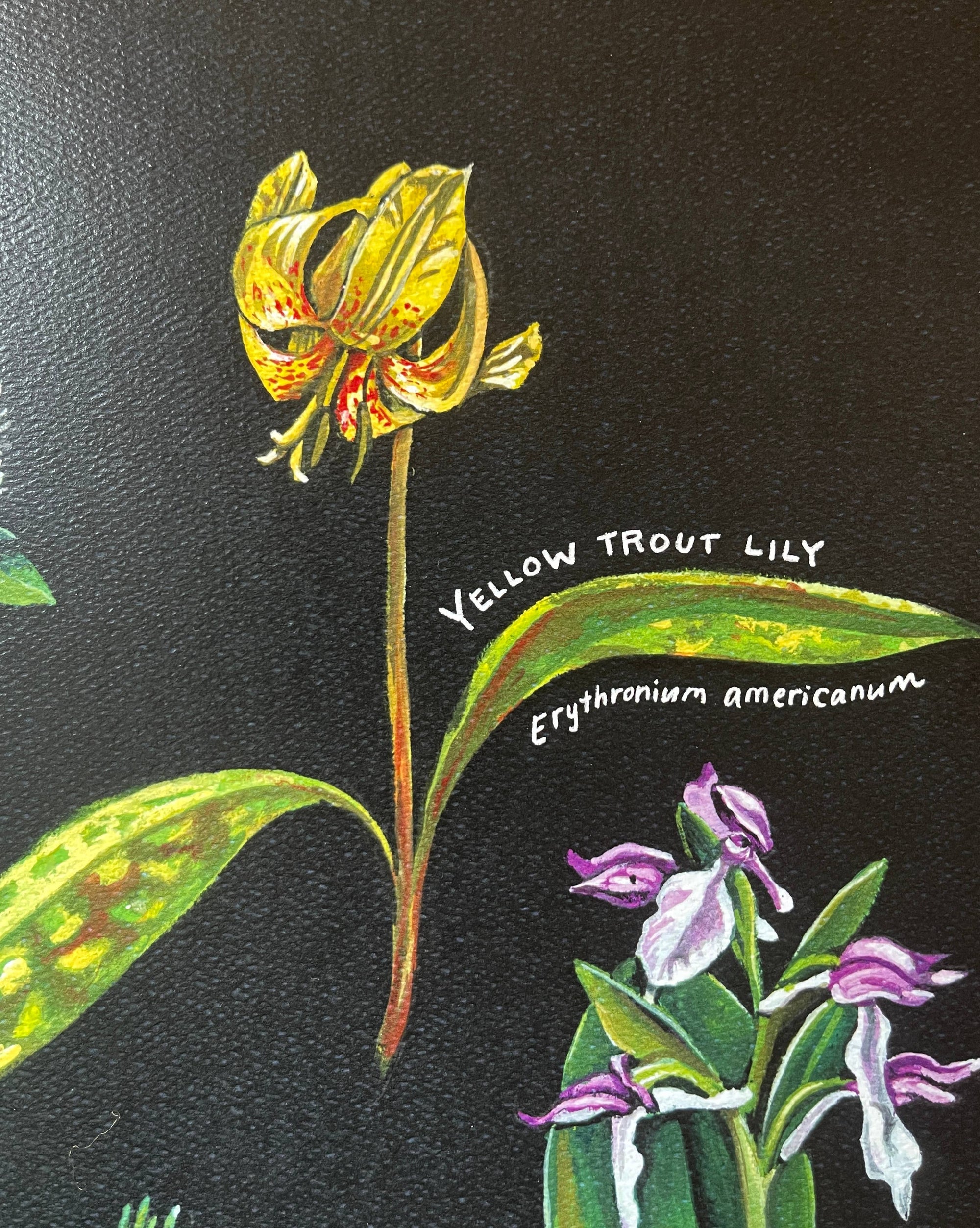 Appalachian Wildflowers Art Print by Rosalie Haizlett