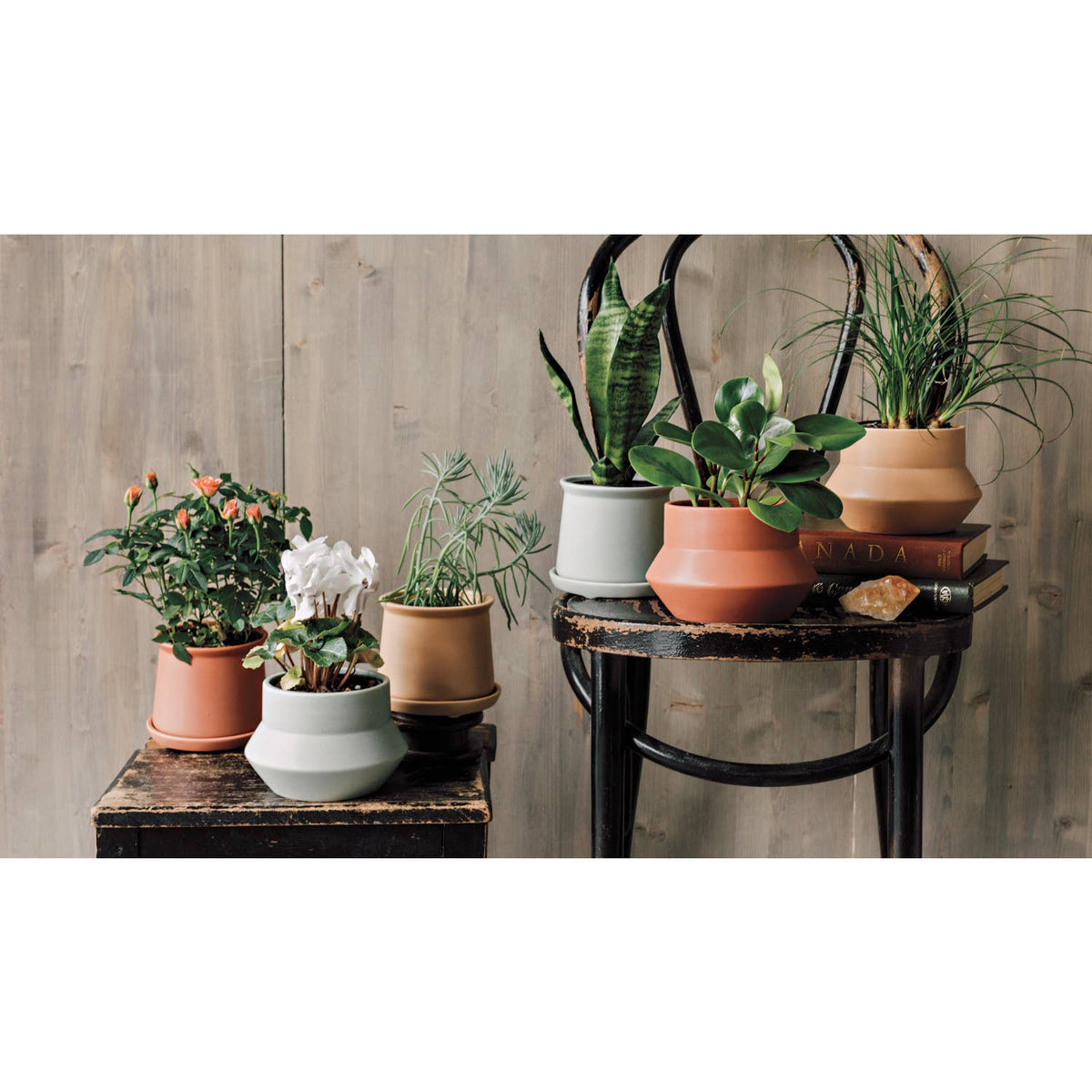 Seafoam Nest Plant Pot
