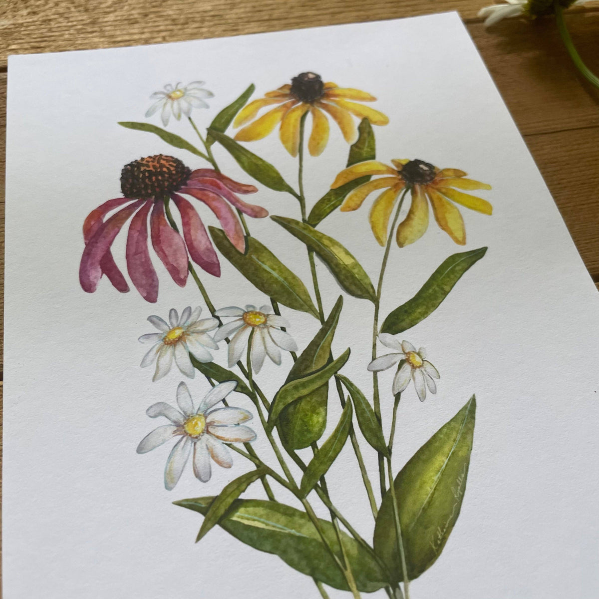 Wildflower print: 11x14”