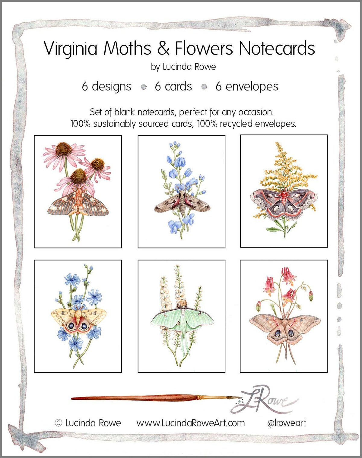 Moths &amp; Wildflowers On Blank Recycled Cards (Set of 6)