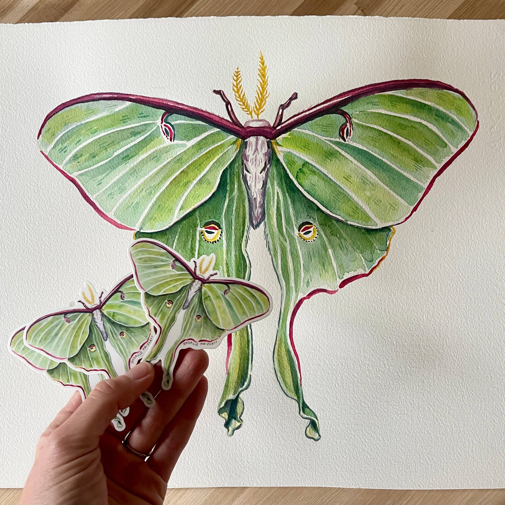Luna Moth Waterproof Vinyl Sticker