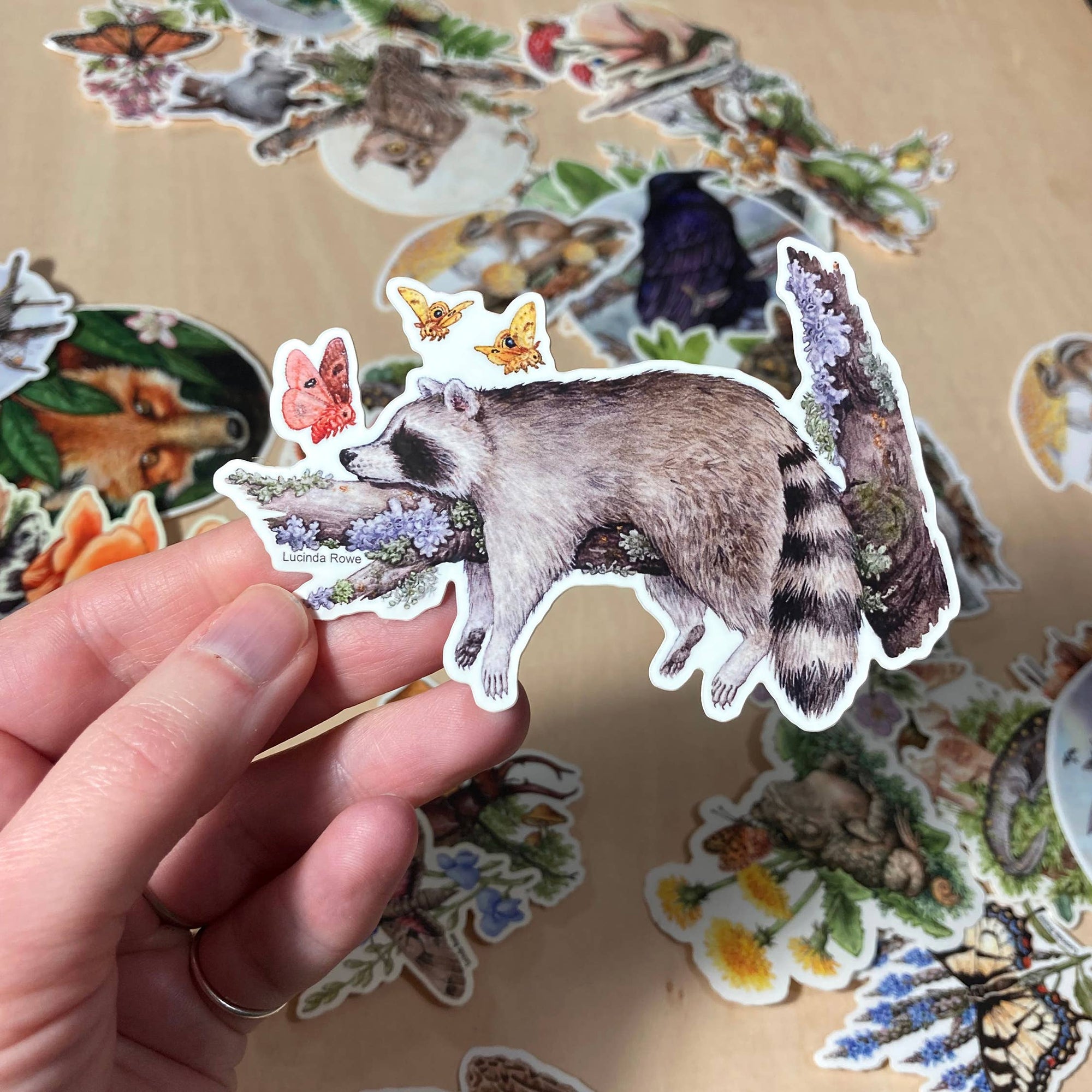 Sleeping Raccoon Sticker
