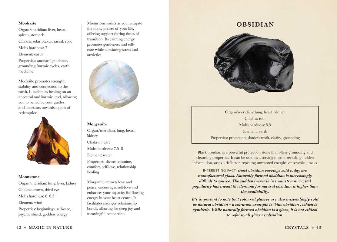 A Practical Guide to Magic in Nature