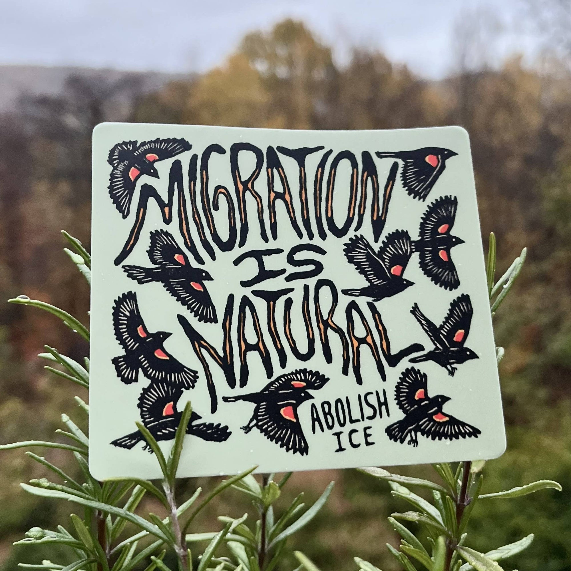 Migration Is Natural - Abolish Ice Vinyl Sticker