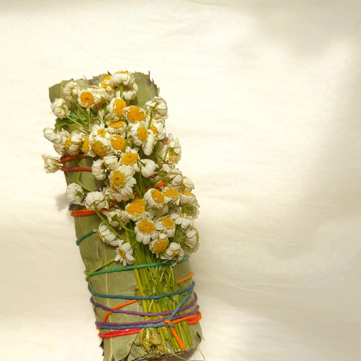 Large Eucalyptus and Chamomile Bundle