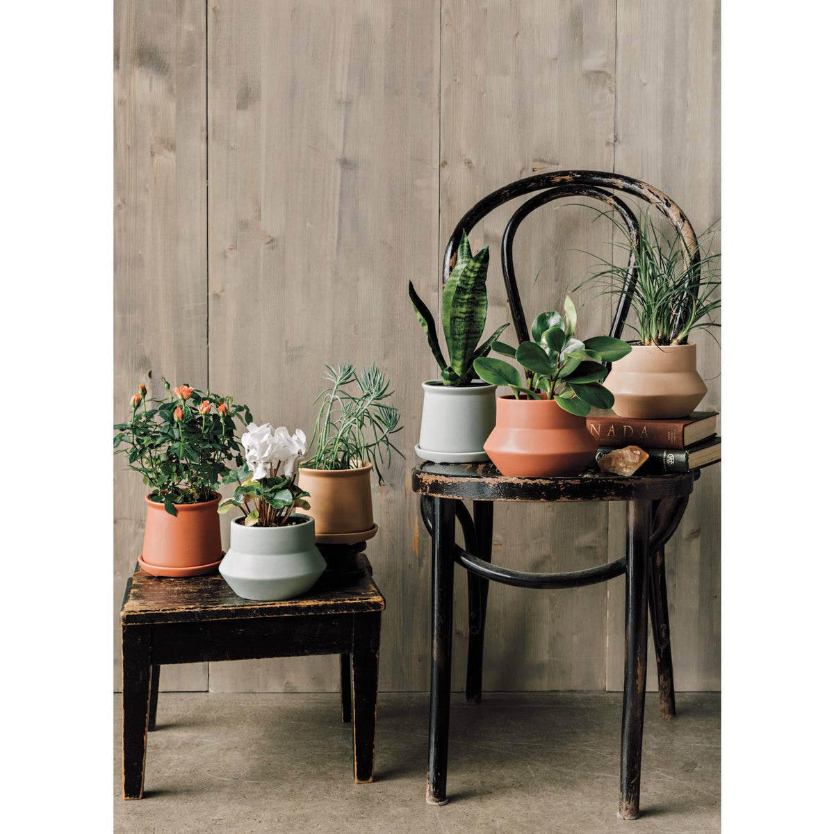 Seafoam Nest Plant Pot