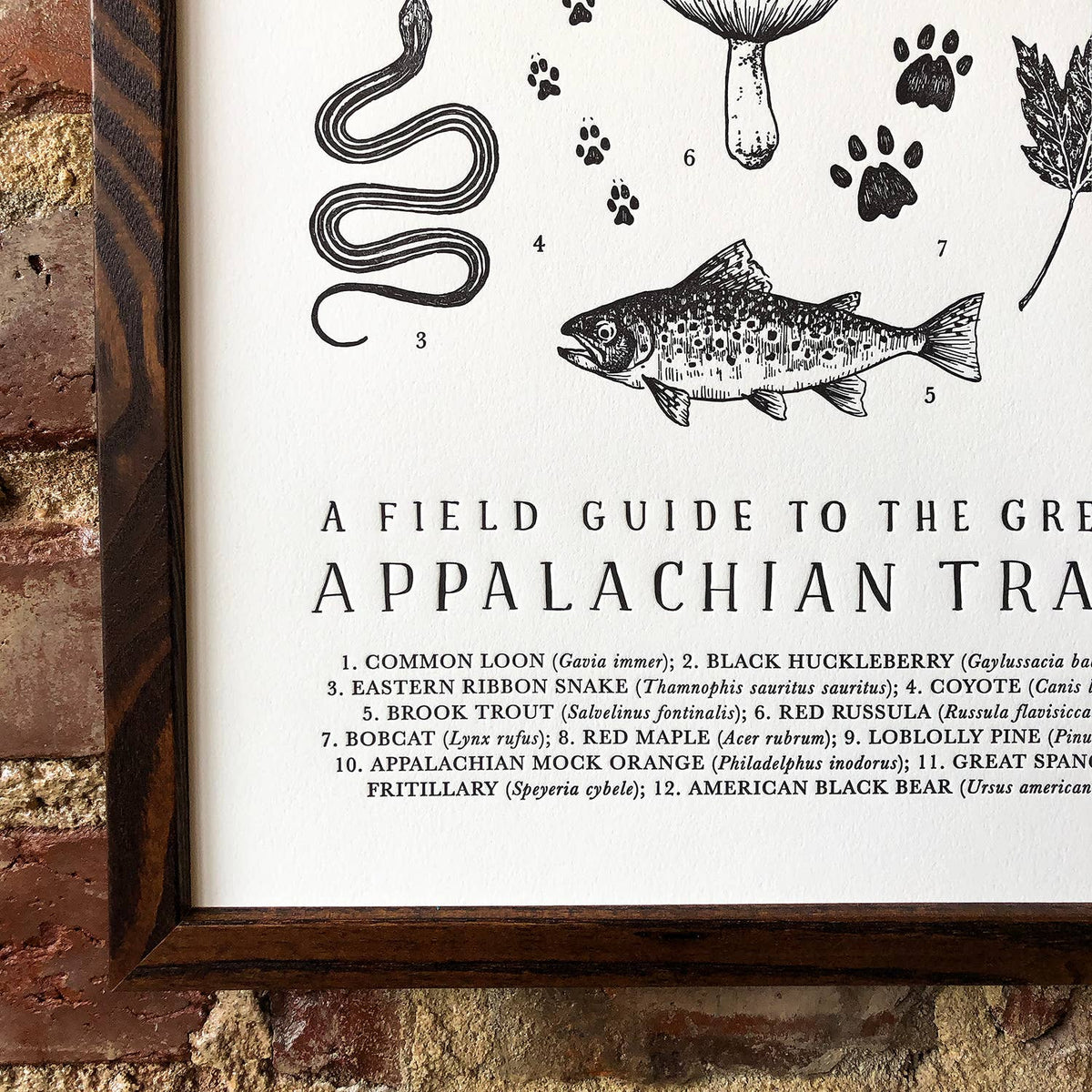 Appalachian Trail Guide