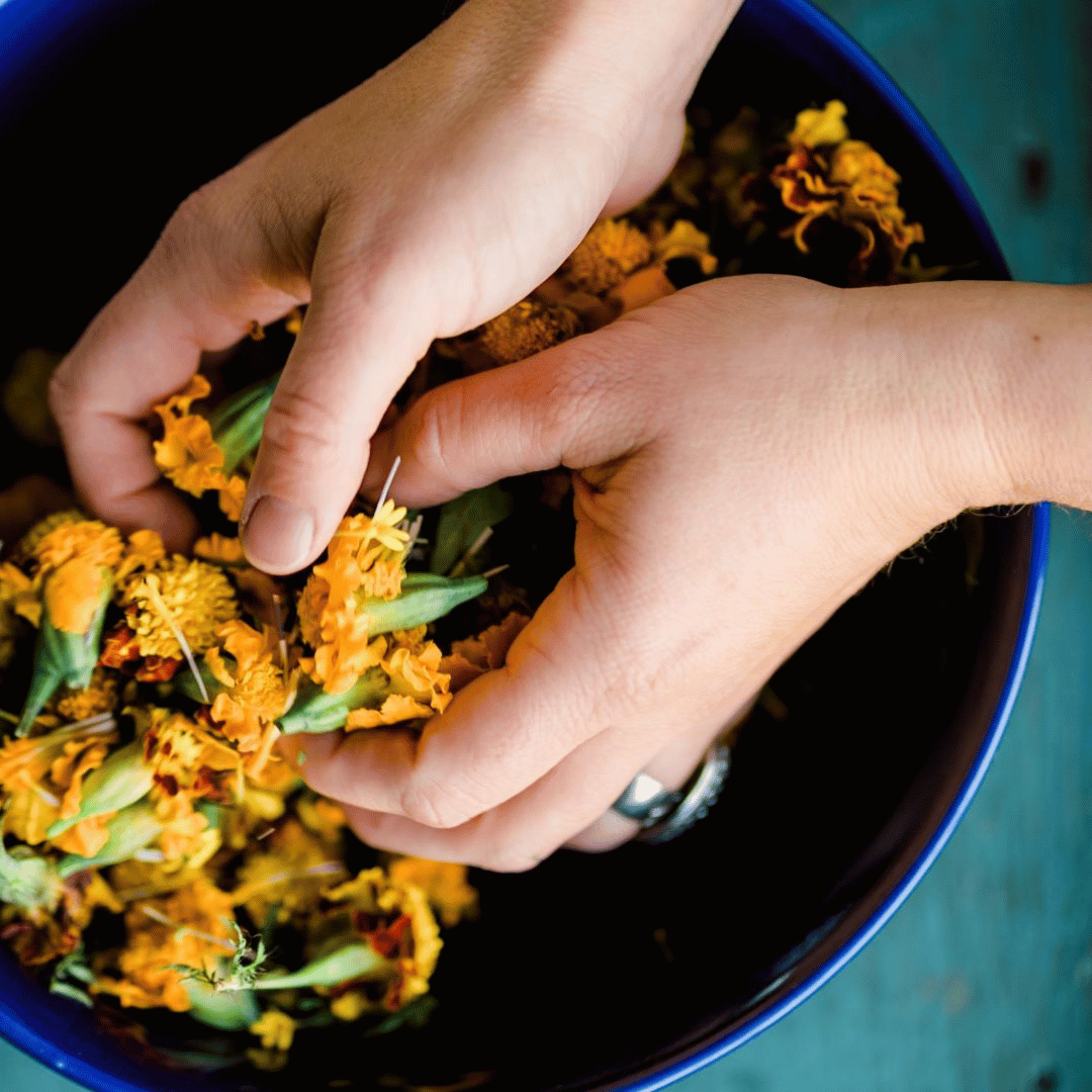 Autumn Medicine Making Series