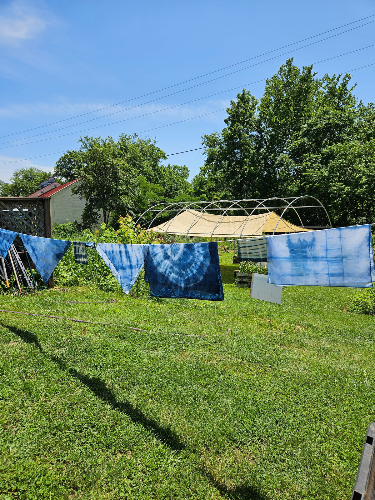 sep 21 shades of blue: shibori and indigo dyeing with Sam Polon