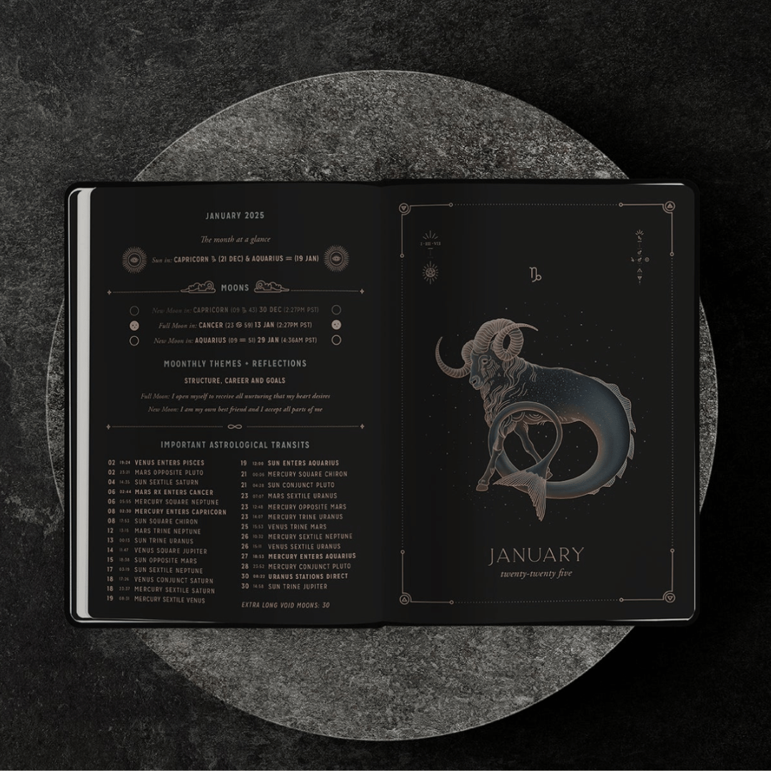 2025 Magic of I Astrological Planner - Mushroom
