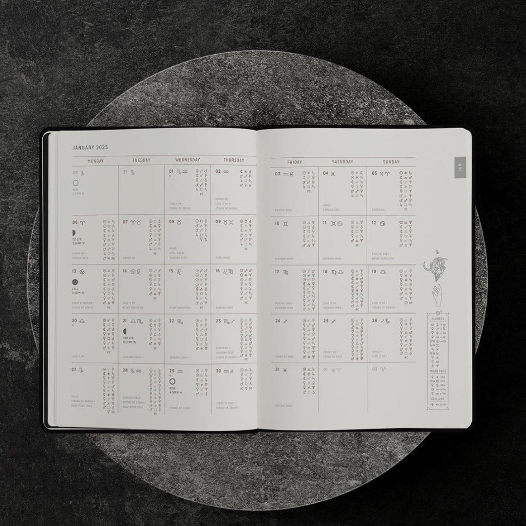 2025 Magic of I Astrological Planner - Mushroom