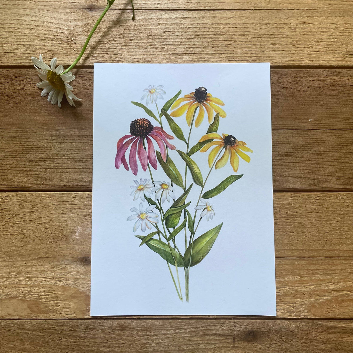 Wildflower print: 11x14”