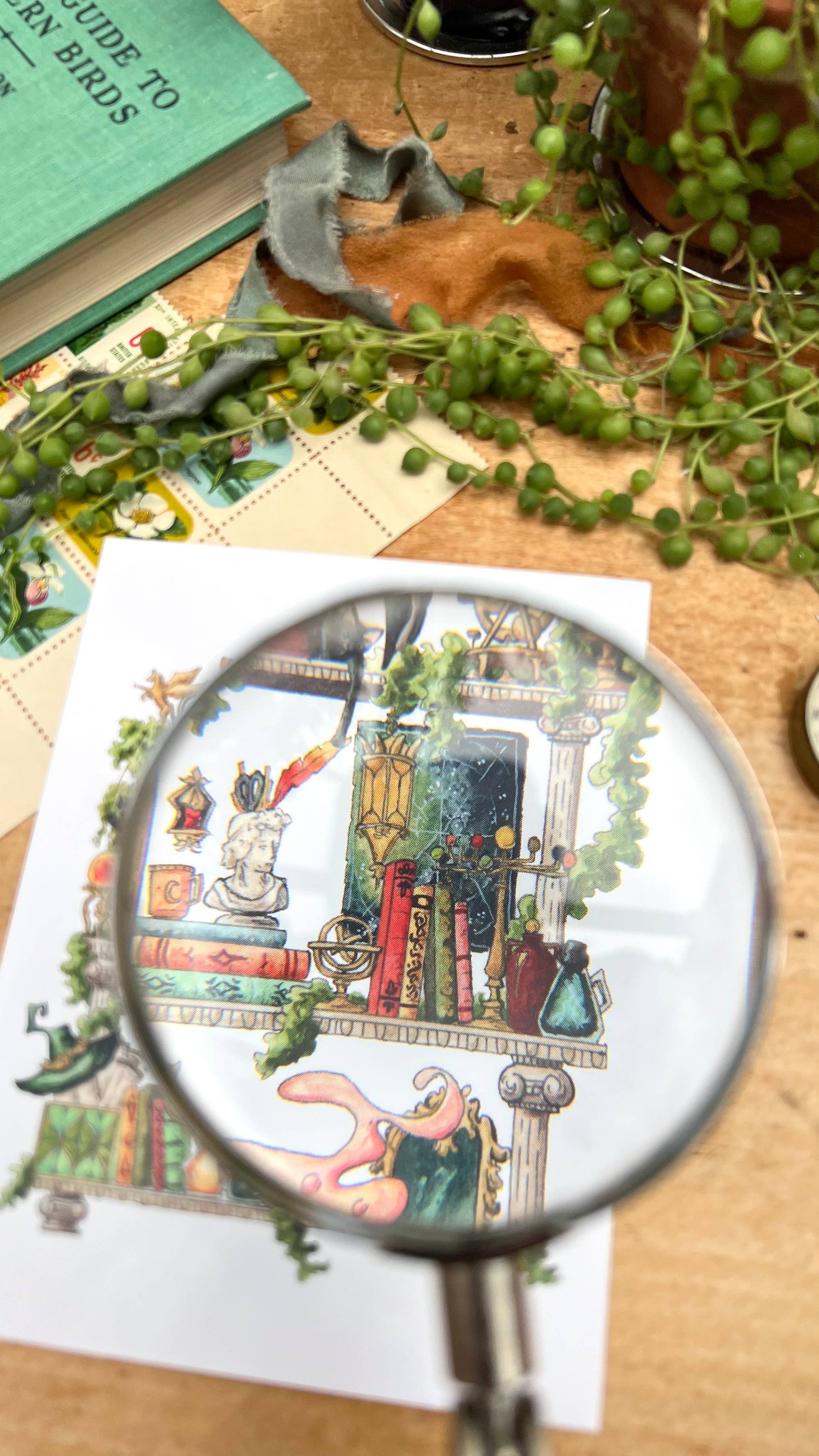 The Celestial Witch's Shelves Postcard