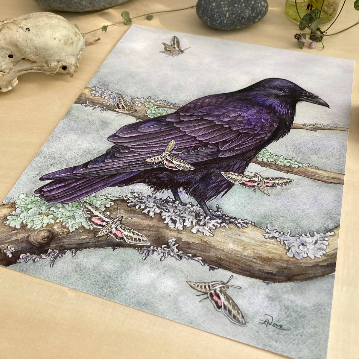 Raven with Moths Giclee Print 8&quot; x 10&quot;