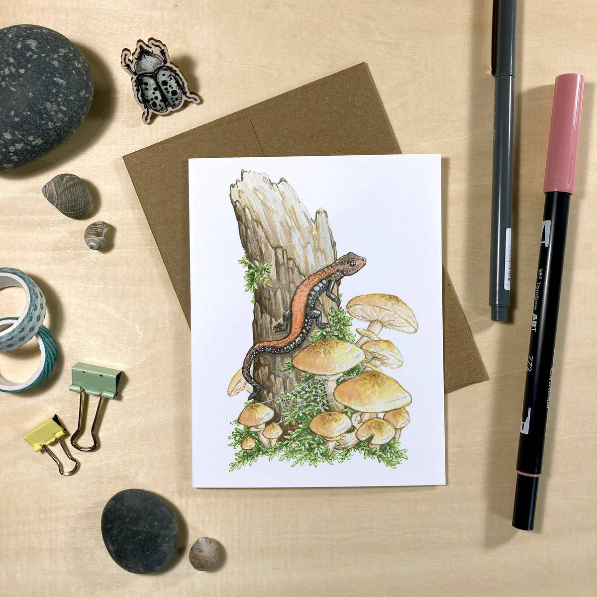 Amphibians &amp; Fungi On Blank Recycled Cards (Set of 6)