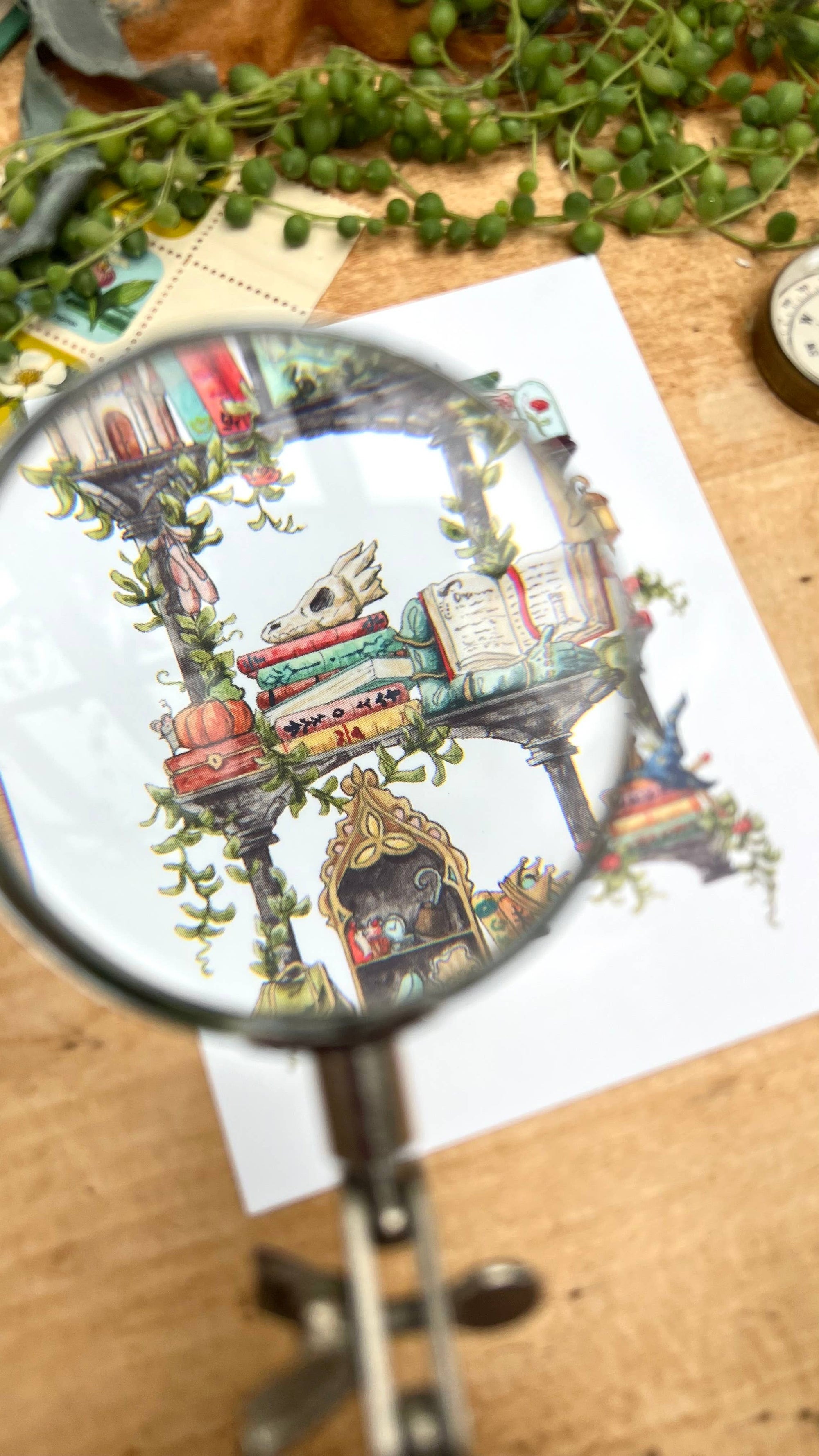 The Storybook Witch's Shelves Postcard