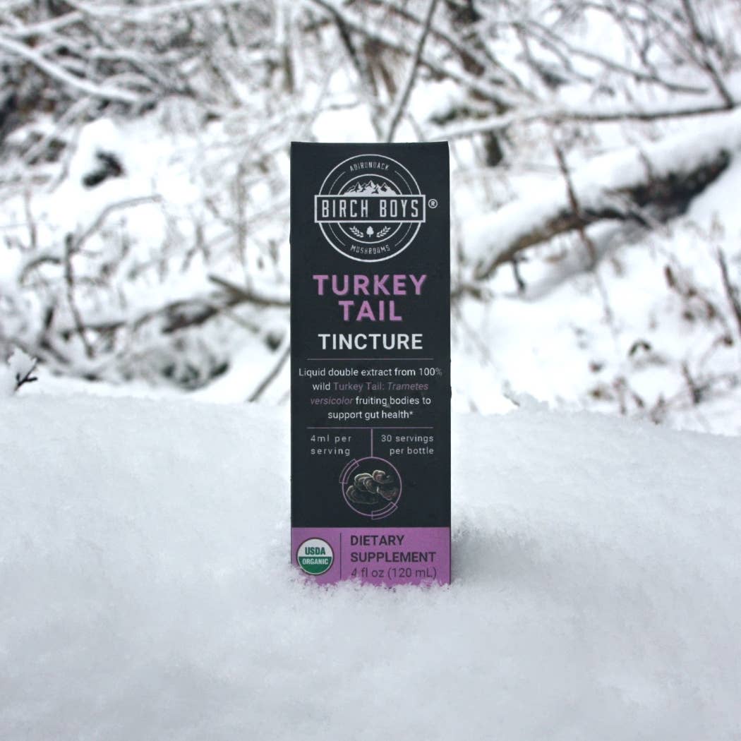 Turkey Tail Tincture (4oz)—Birch Boys