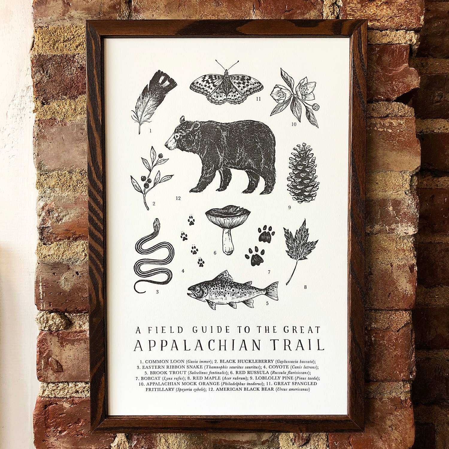 Appalachian Trail Guide