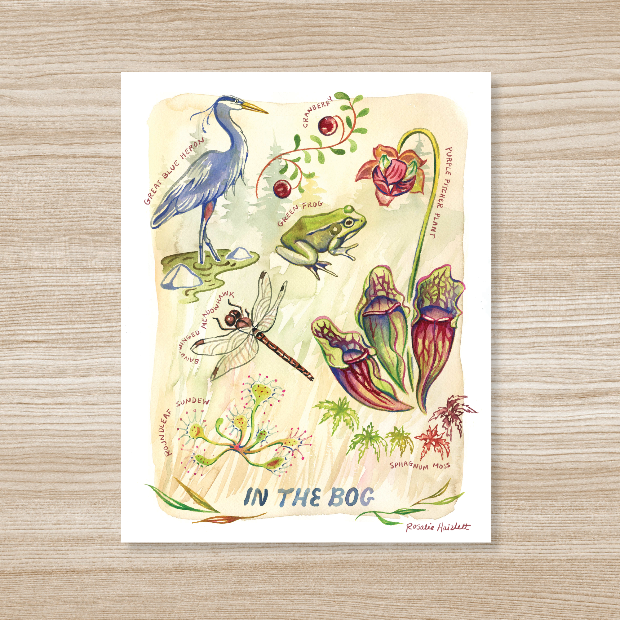 In the Bog - Watercolor Art Print
