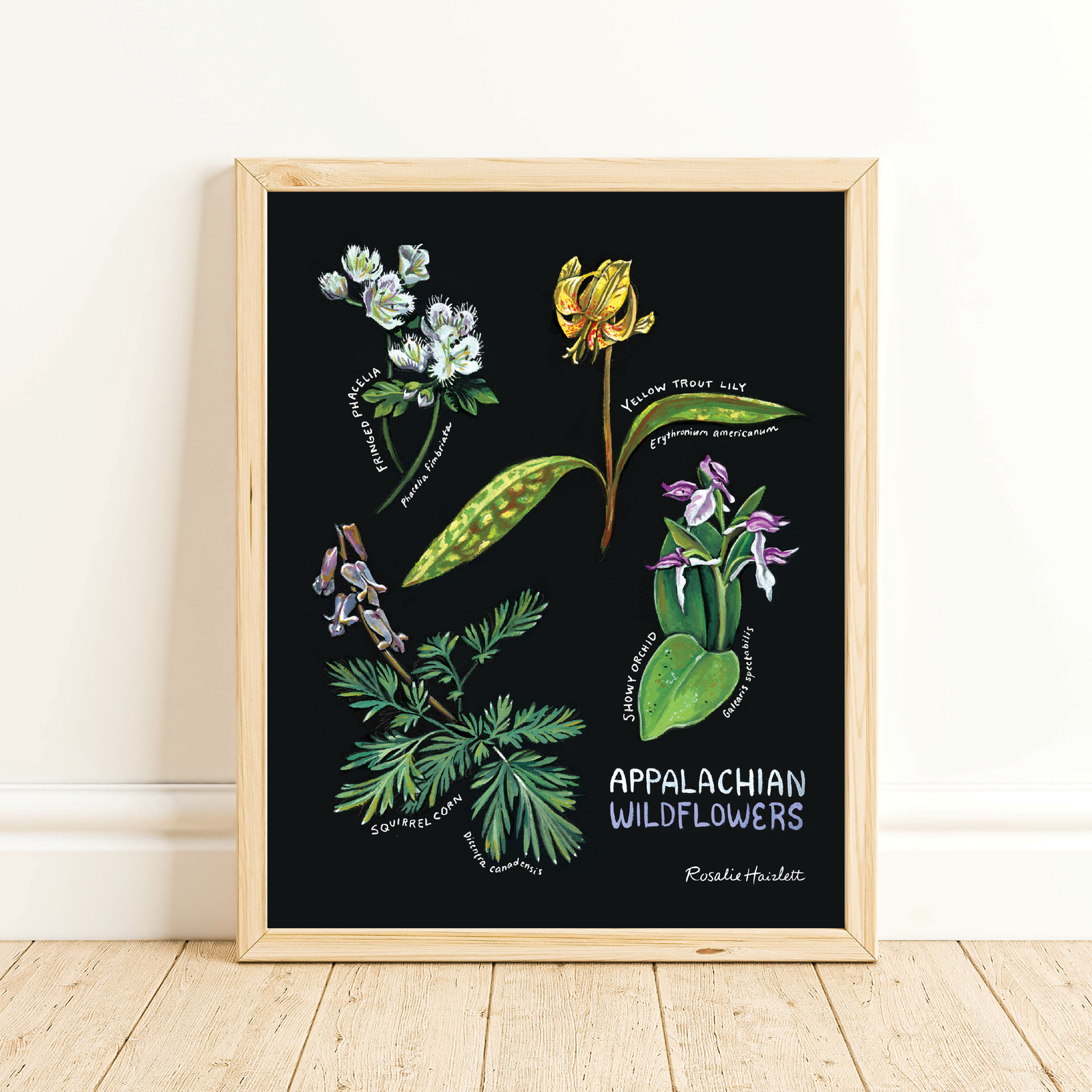 Appalachian Wildflowers Art Print by Rosalie Haizlett