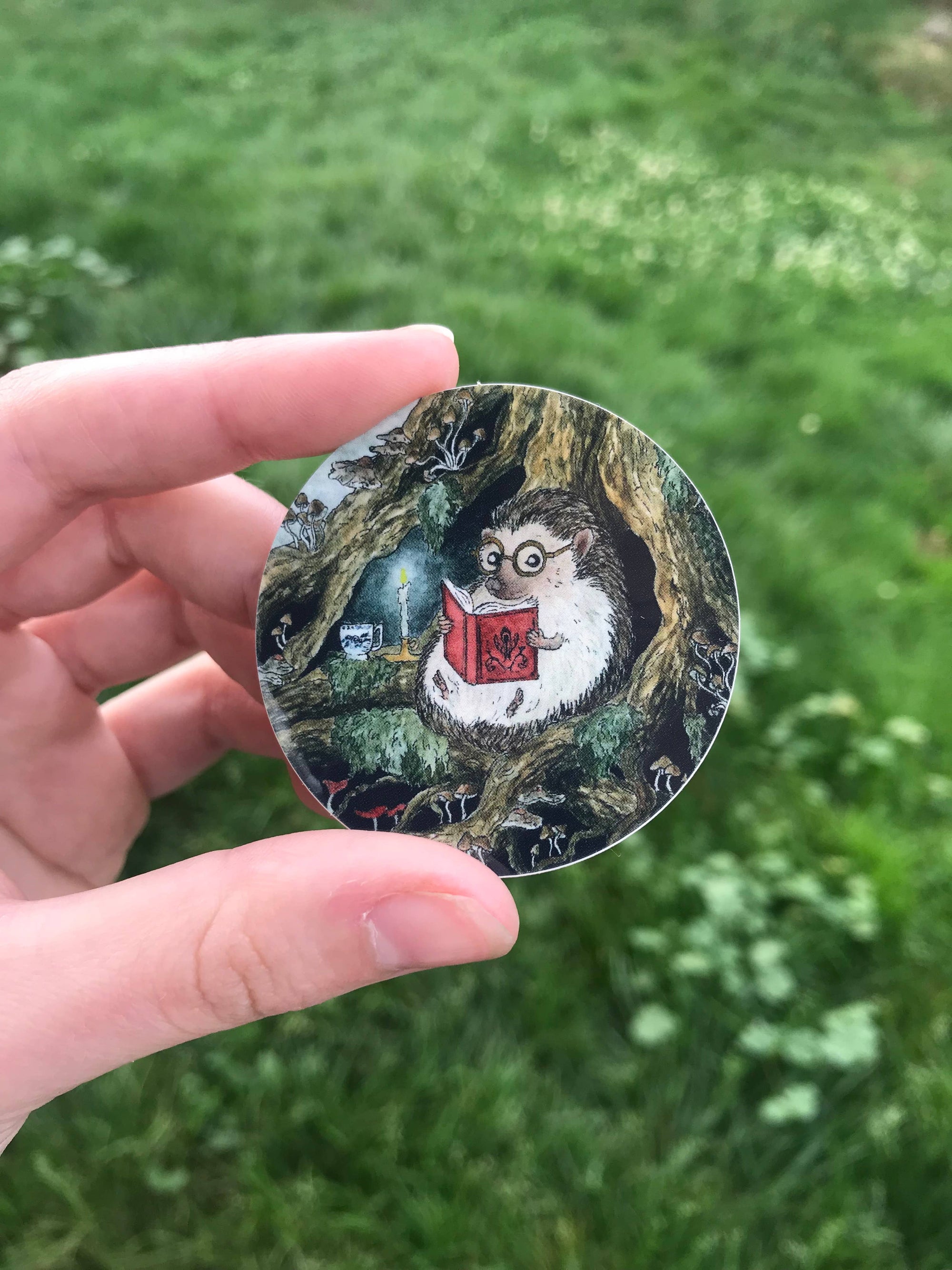 Reading Hedgehog Sticker