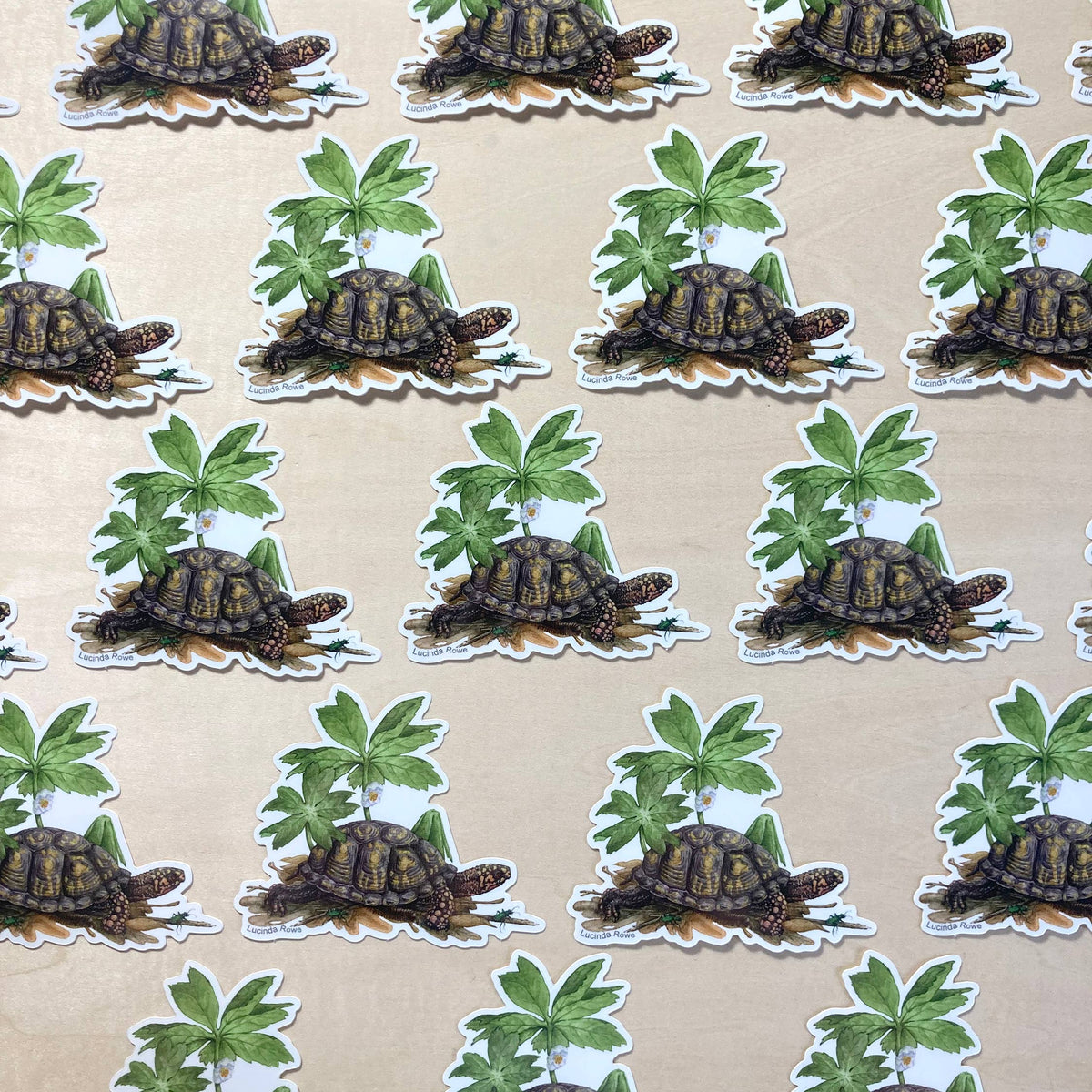 Box Turtle with Mayapple and Tiger Beetles - Vinyl Sticker