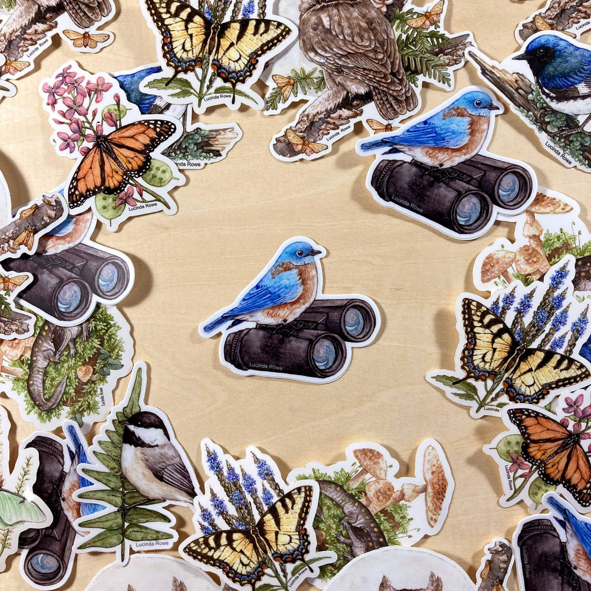 Eastern Bluebird On Binoculars - Vinyl Sticker
