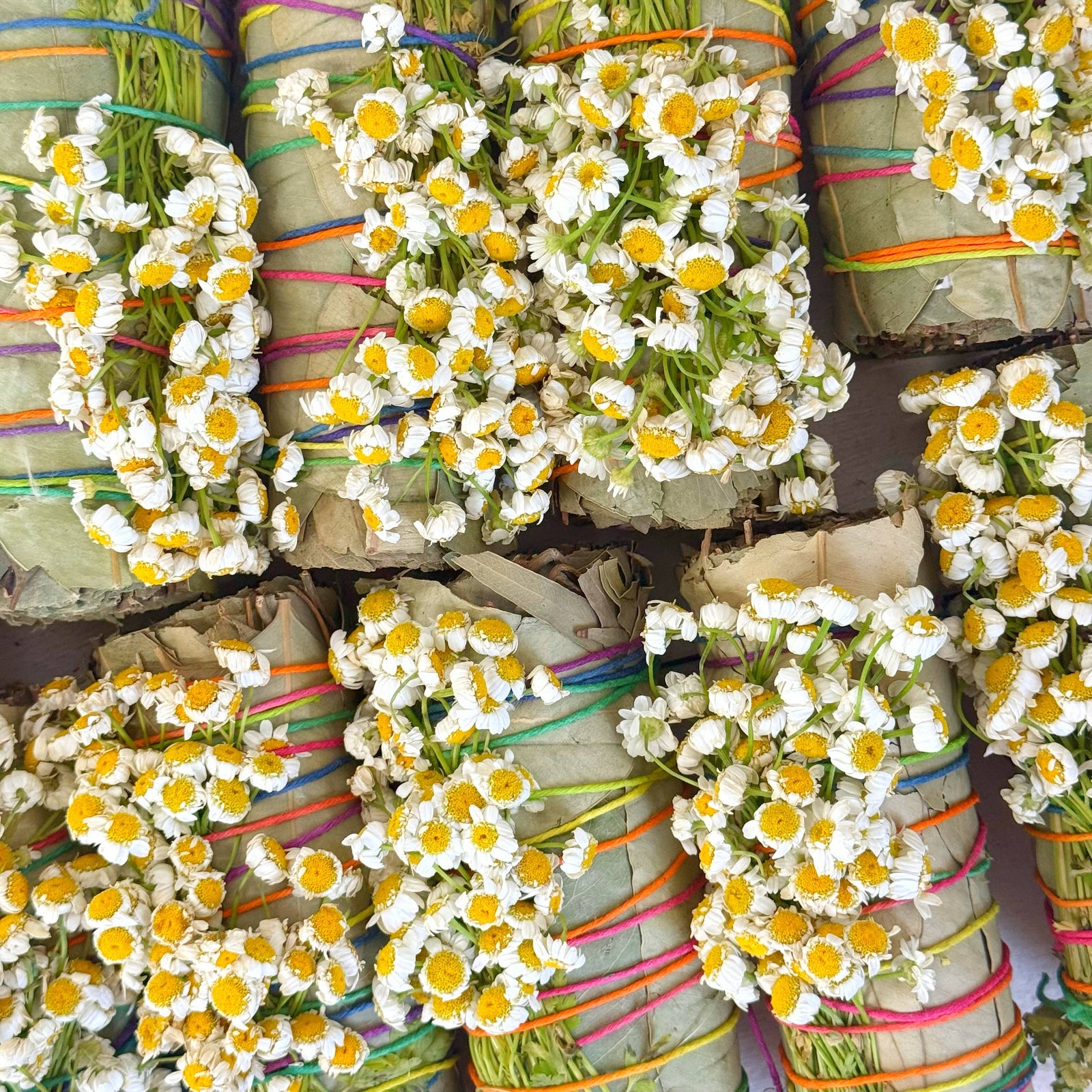 Large Eucalyptus and Chamomile Bundle