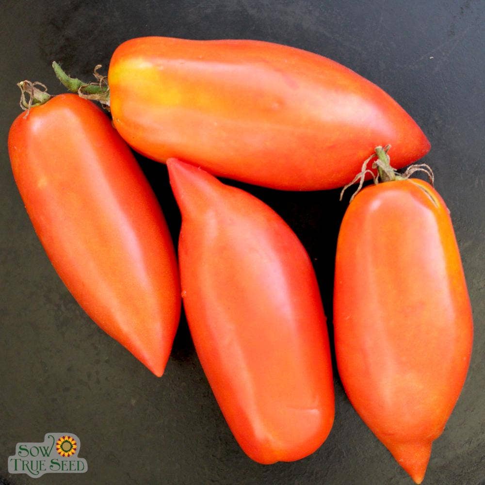 San Marzano Paste Tomato Seeds