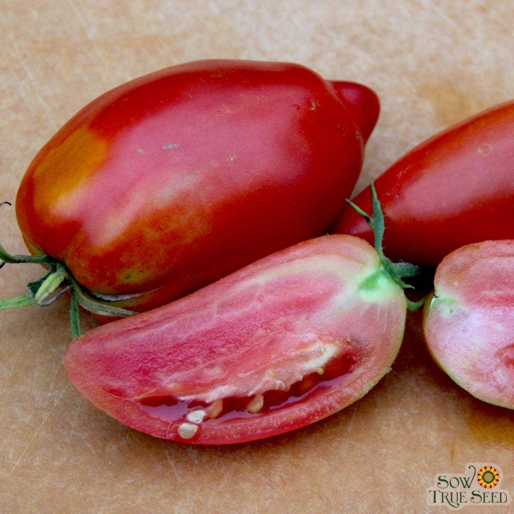 San Marzano Paste Tomato Seeds