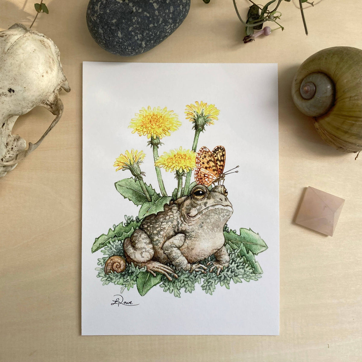 Dandelion Toad (5&quot; x 7&quot; Giclee Print)