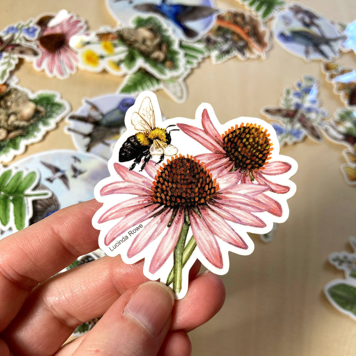 Bumble Bee with Purple Coneflower - Vinyl Sticker