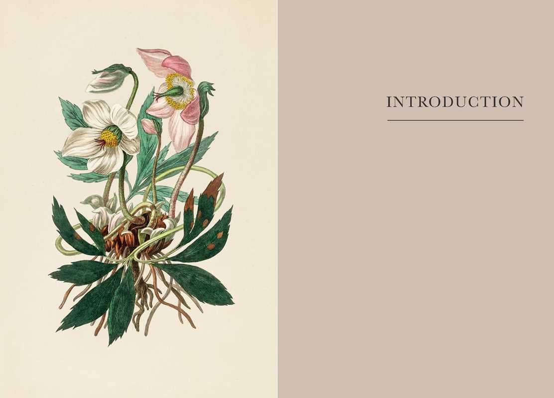 A Practical Guide to Magic in Nature