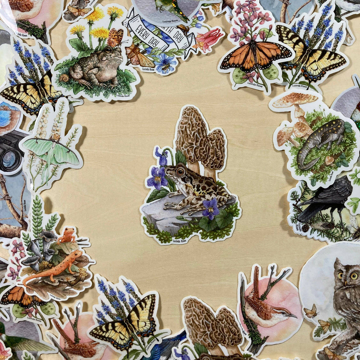 Pickerel Frog With Morels - Vinyl Sticker