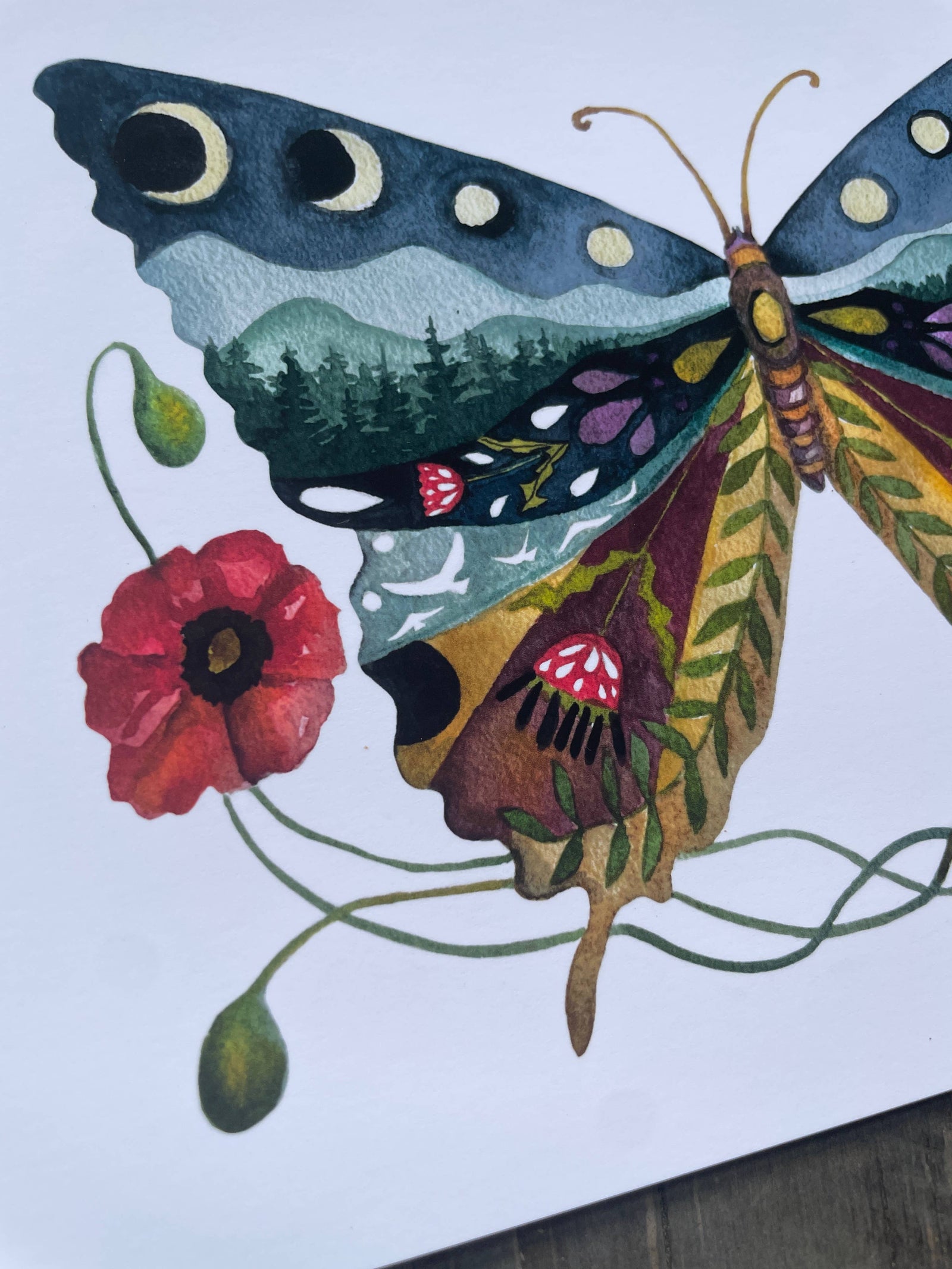 Swallowtail and Poppies Butterfly Art Print 