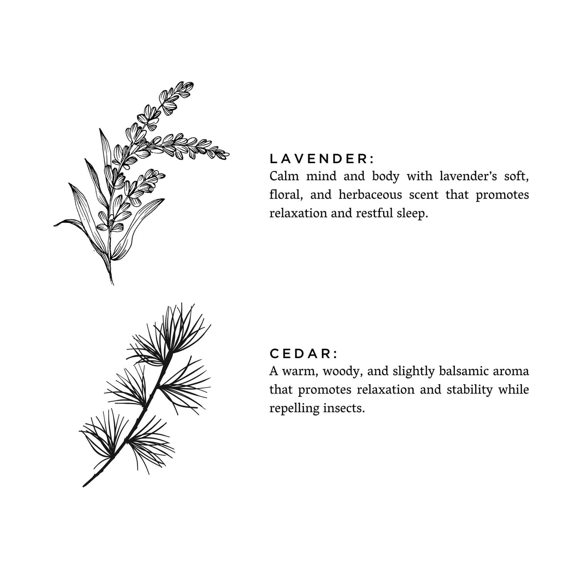 Lavender + Cedar |  Travel Tin Candles 6 oz